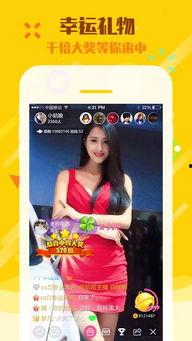 娱乐吃瓜直播页面在哪看,娱乐吃瓜直播页面，带你一网打尽热门资讯！