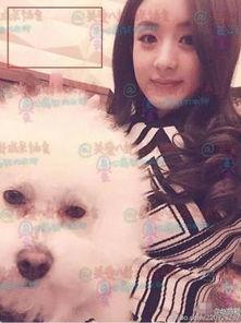 赵丽颖在家的生活照