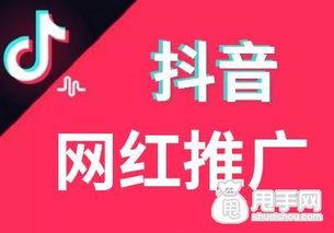 网红推广费,揭秘网红营销背后的真相与策略